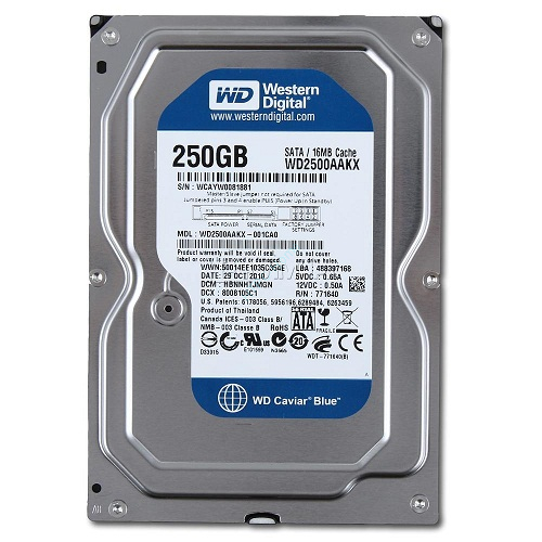 250 Gb Western Digital WD2500AAKX Blue 3.5"  5400PRM 8Mb SATA 3Gb/s фото 1 — HTPC-Home.ru