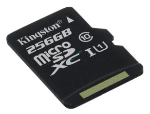Карта памяти 256Gb Kingston SDCS/256GBSP microSDXC Memory Card UHS-I U1 — HTPC-Home.ru