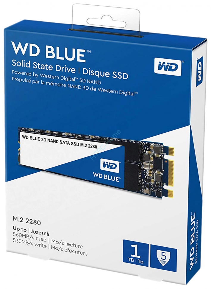Твердотельный накопитель 1TB Western Digital WDS100T2B0B M.2 фото 1 — HTPC-Home.ru