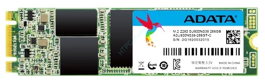 Твердотельный накопитель 256GB ADATA Ultimate SU800 ASU800NS38-256GT-C M.2 SATA фото 1 — HTPC-Home.ru